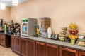 Quality Inn &amp; Suites Houghton