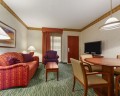 Embassy Suites Tampa - USF/Near Busch Gardens