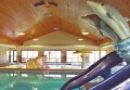 TownePlace Suites Rochester
