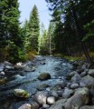 Marriott&#039;s StreamSide Evergreen at Vail