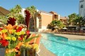 Desert Rose Resort