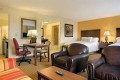 Hampton Inn &amp; Suites Tampa-Wesley Chapel