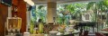 Embassy Suites Tampa - USF/Near Busch Gardens