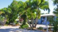 Lido Islander