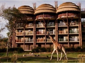 Disney&#039;s Animal Kingdom Lodge