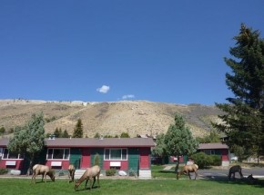 Yellowstone Gateway Inn