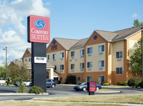 comfort suites auburn in